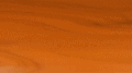 サドリンクラシックのオレンジの写真